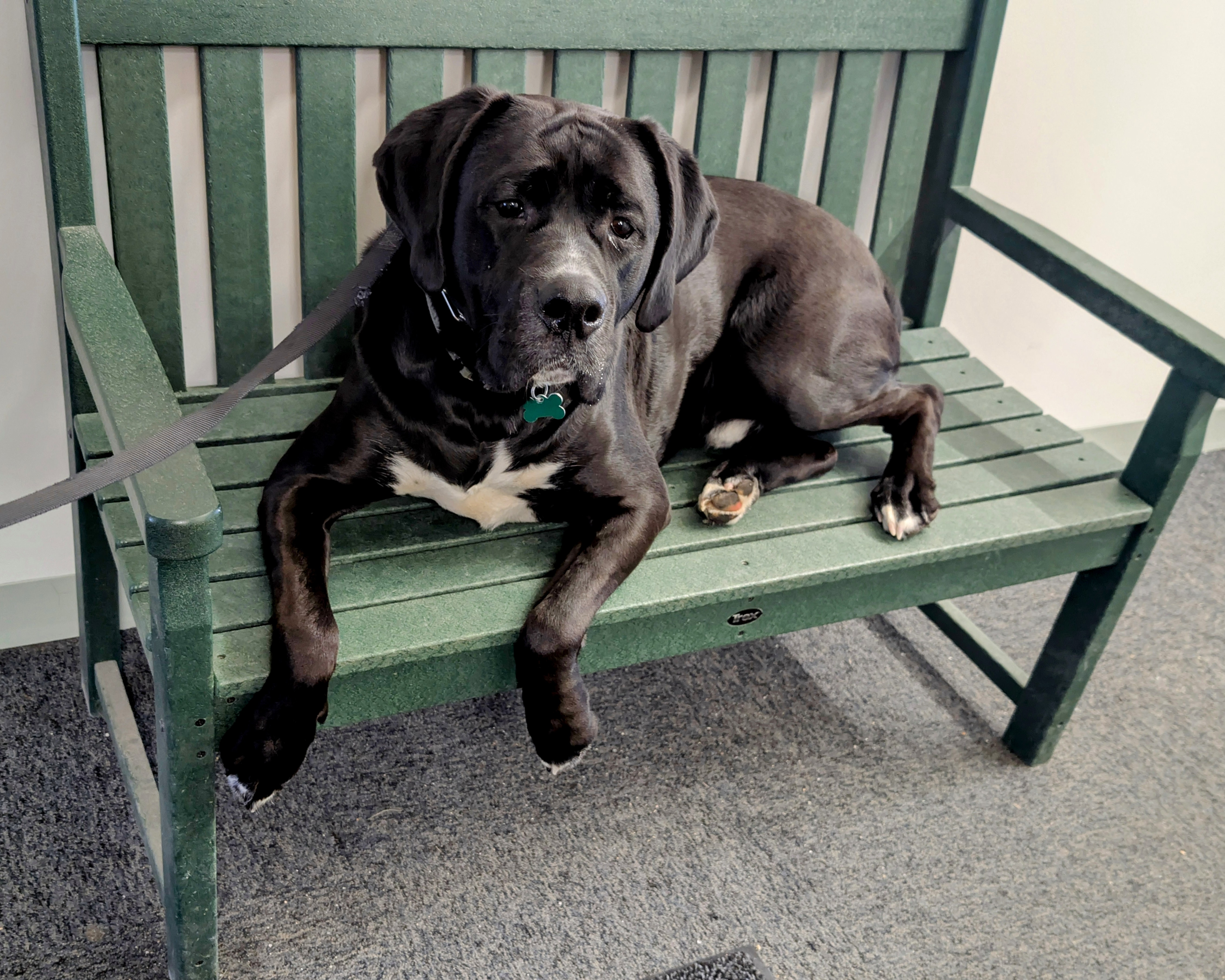 Brodie's Bench at the Waterville Valley Post Office
